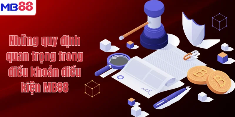 ĐIỀU KHOẢN ĐIỀU KIỆN MB88 2 Những quy định quan trọng trong điều khoản điều kiện MB88