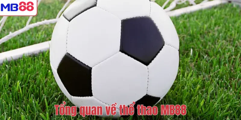 THỂ THAO 1 Tổng quan về thể thao MB88